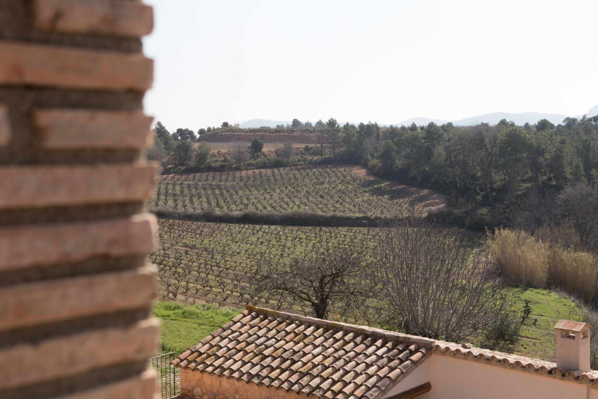 Casa Rural Masia Les Apieres El Pla de Manlleu Exterior foto